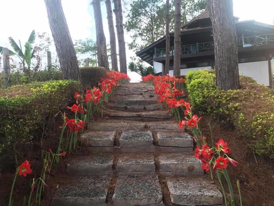 Bird Land Resort Khao Kho Exterior foto