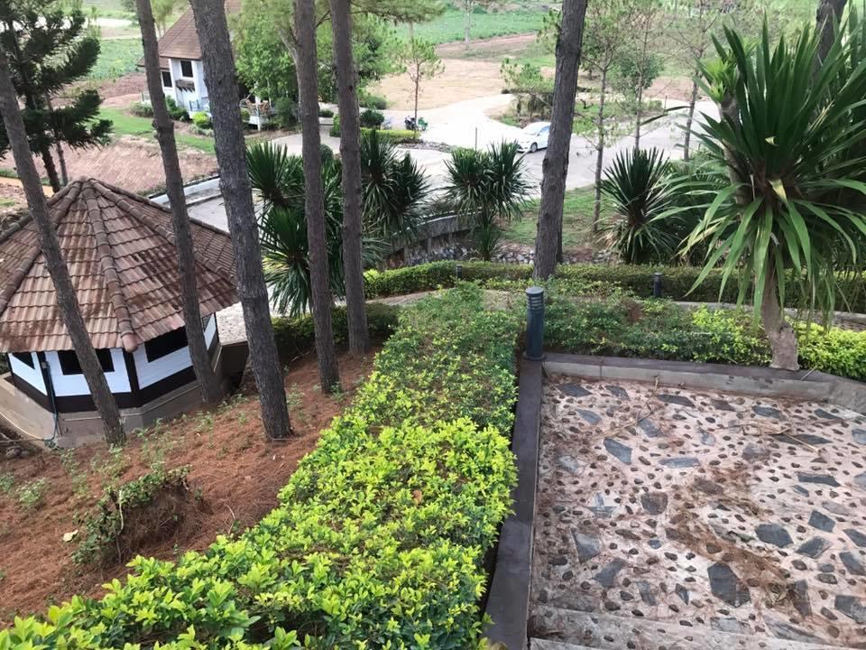 Bird Land Resort Khao Kho Exterior foto